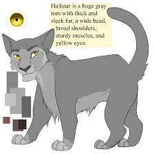 Hailstar Warrior Cats Books Warrior Cat Memes Warrior Cats Art