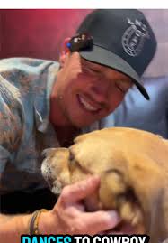 Adopt Sunny: A Heartfelt Serenade for a New Home