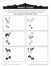 Farm Animal Tracks Worksheet Education Com Animal Tracks Farm Animals Preschool Animal Footprints