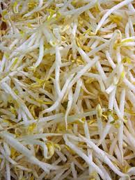 Pin On Space Saving Veggie Gardens