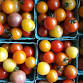 Lyndon Farmers’ Market