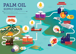 The fruit of the tree can then be harvested and processed to release the. Rspo Certification Rspo Roundtable On Sustainable Palm Oil