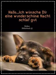 In diesem video ist ein welpe der besonders süßen art der star: Pin Von Patricia Haines Auf Good Night Wishes Gute Nacht Lustig Gute Nacht Gute Nacht Grusse