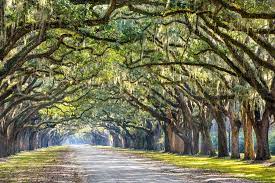 The guide is written by expatriates in georgia usa, for people who would like to move to georgia, usa. The Most Interesting Places To Visit In The State Of Georgia Hip Homeschool Moms