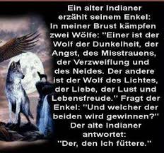 Original traditionelle indianische medizinrad mit inspirierenden schreiben: 190 Indianer Ideen Indianer Geschichte Der Amerikanischen Ureinwohner Indianer Unterricht