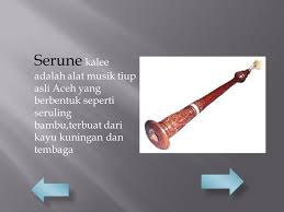 Terdapat lubang yang berfungsi sebagai sumber bunyi dari alat musik ini. 63 Gambar Alat Musik Serune Kalee Infobaru