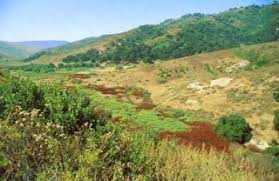 Aliso Wood Canyons Wilderness Park Wilderness Places To Visit Canyon