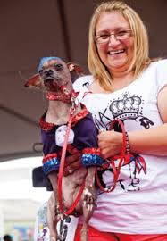 Just 50 metres from bar to bay, the cheeky dog is the place to be for indoor and outdoor eating and drinking in soldiers point. Cute Vs Cruel Why This Vet Can T Stand Ugly Pet Contests