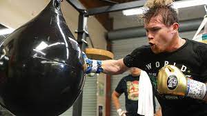 Canelo alvarez is looking powerful in sharp in a video posted by his trainer eddy. Canelo Alvarez Training Camp Insight Boxing News