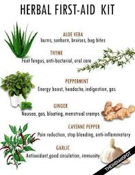 Pin By Holly Best On Healthcare Harmony Beauty Wellnes Ideas Herbs For Health Herbalism Herbal Healing