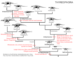Image result for Dinophora