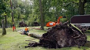 Die feuerwehr rückte am dienstag 165 mal aus. Schwere Schaden Nach Unwetter Stadionbad Offnet Wieder Nurnberg Nordbayern De