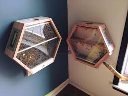 Beecosystem Une Ruche Dans Votre Salon Ruche Plans De Ruche Ruche Apiculture