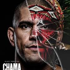 Who can install a ridge vent