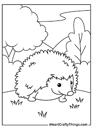 There are tons of great resources for free printable color pages online. Hedgehog Coloring Pages Updated 2021