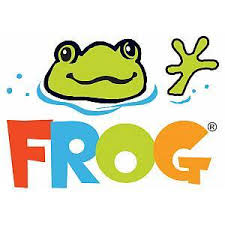 Pool Frog System Automatic Chlorinator In Above Ground Pools