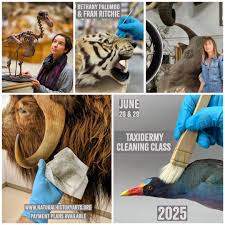 Profile for Institute for Natural History Arts, Inc