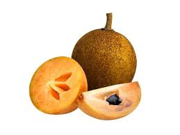 Image result for Manilkara