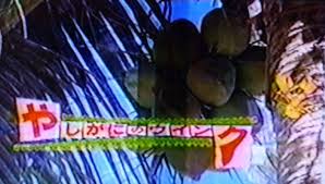 たまお on X: 今日は何の日 【2002年4月13日(土)】 ｢やしがにのウインク｣放送開始日  放送作家やタレント､視聴者が制作したVTRをランキング形式で紹介する深夜番組。 司会はビビる大木と千野志麻､審査員は内村光良と飯島直子が行った。  現在でも動画サイトで見かける ...