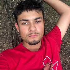 What are the best plants for a windowless bathroom and how long to use grow  lights?