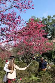 Search for text in url. èŠ±å‰è©¦é©—ä¸­å¿ƒ è‡ºåŒ—æ—…éŠç¶²