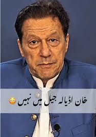 Ali Tareen's Surprising Reaction to PCB News