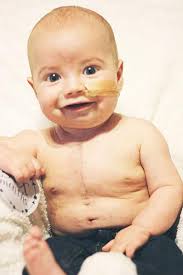 Levi Hartman's Instagram, Twitter & Facebook