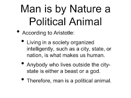 Politics is the set of activities that are associated with making decisions in groups, or other forms of power relations between individuals, such as the distribution of resources or status. Political Animals Blog In2english