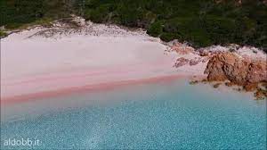 Budelli is an island in the maddalena archipelago, near the strait of bonifacio in northern sardinia, italy. Spiaggia Rosa Pink Beach Budelli Arcipelago Di La Maddalena Sardinia Italy Youtube