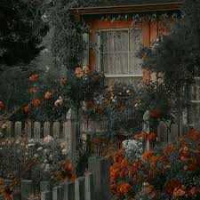 formats aesthetic backgrounds aesthetic themes orange aesthetic