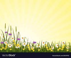 You Will Never Believe These Bizarre Truths Behind Flower Meadow Vector Flower Meadow Vector Https Ift Tt 2ppknwh