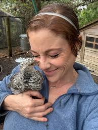 BYC (BackYardChickens)