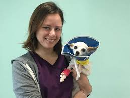 Neutering can lead to changes in behavior, and it will ensure that your male dog cannot reproduce. Spay Neuter Pet Neutering Austin