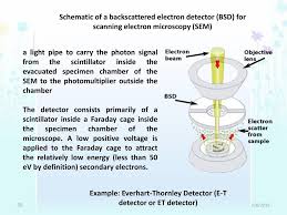 It seems like there is limited basic information. Electron And Probe Microscopy Ppt Download