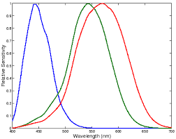 Color And Absorption Spectroscopy