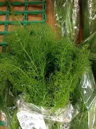 Fennel Herb Without The Bulb This Looks Very Similar To Dill Has A Sweet Licorice Smell Fennel Herb Herbs Food Labels