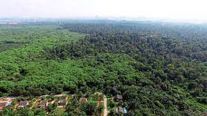 Maybe you would like to learn more about one of these? Objection Period For Kuala Langat Plan Too Short The Star