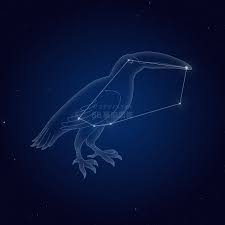 き ょ しちょう 座