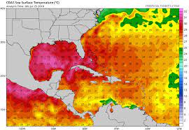 Current Temperature Of The Gulf Of Mexico High Octane Hurricane Fuel In The Gulf Of Mexico: 2 Loop Current Eddies |  Weather Underground