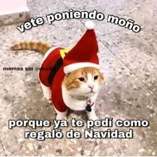 Pin De Sindel En Para V En 2020 Frases Bonitas Para Novios Memes Clasicos Memes Divertidos