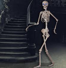 The Best Life Size Posable Led Skeleton Halloween Deals Available Now Posable Skeleton Life Size Skeleton Halloween Skeletons