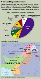 Crisis In Pakistan Cqr