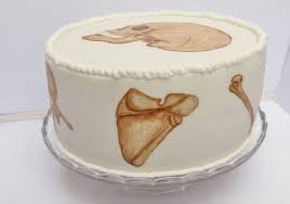 Anatomie Torte Red Velvet Cake Kuchen Ideen Torten Red Velvet Cake