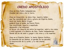 Credo Apostolico Ano De La Fe Png 640 503 Mom Prayers Catholic Prayers Credo