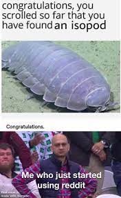 What Are The Odds Memes