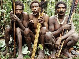 Tarian ini ditarikan oleh beberapa penari wanita cantik dan anggun. 8 Suku Papua Ragam Sejarah Budaya Dan Adat Istiadat