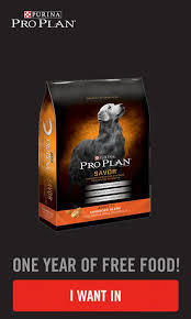 Check spelling or type a new query. Don T Miss Out On Your Opportunity To Score Purina Proplan For A Year Pet Supplies Plus Pet Supplies Purina