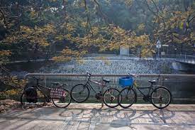 Bicycle companies bicycle companies in hong kong. Hong Kong On Two Wheels Can Cycling Thrive Here