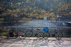 There are 17 hong kong bicycle for sale on etsy, and they cost £31.58 on average. Hong Kong On Two Wheels Can Cycling Thrive Here