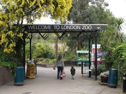 London Zoo Entrance London Zoo Queens Park London London Zoo Animals